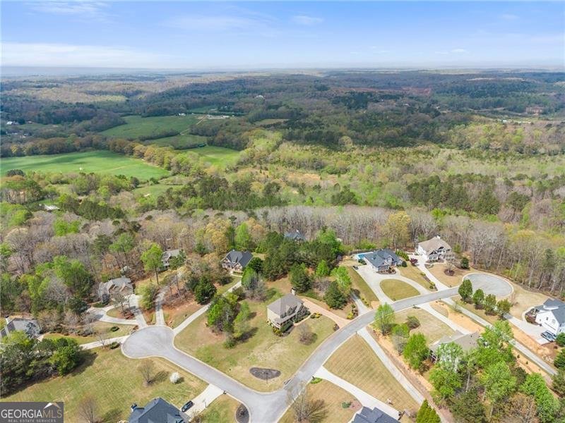 115 Riverview Drive Dawsonville - Photo 71