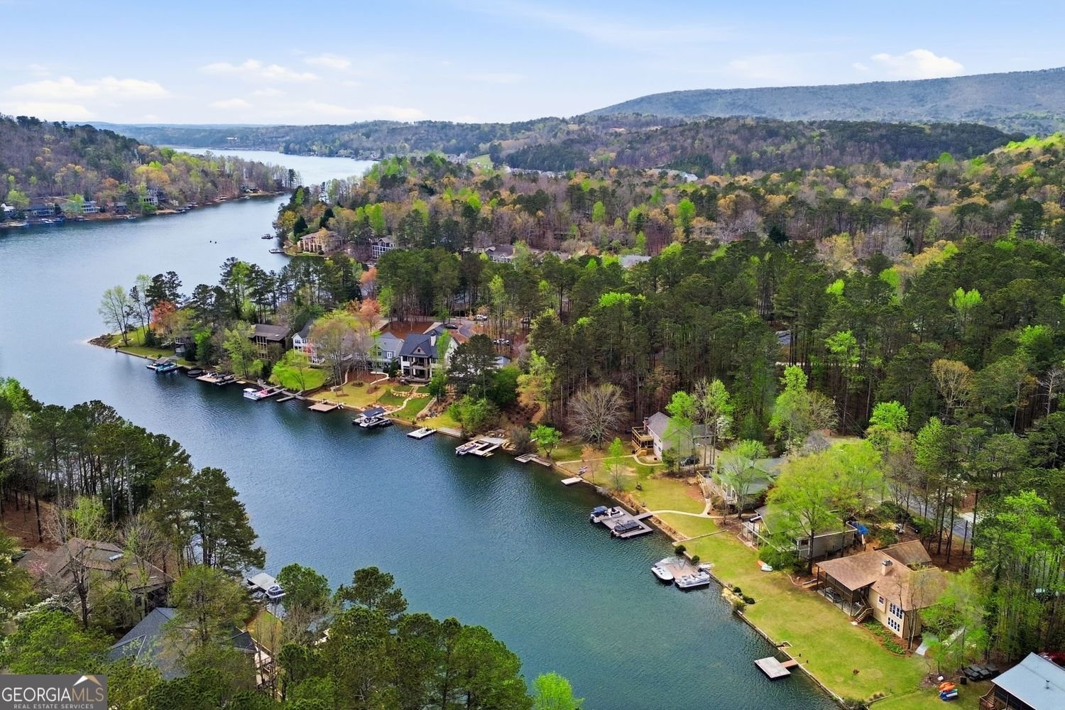 215 White Antelope Street Waleska - Photo 45