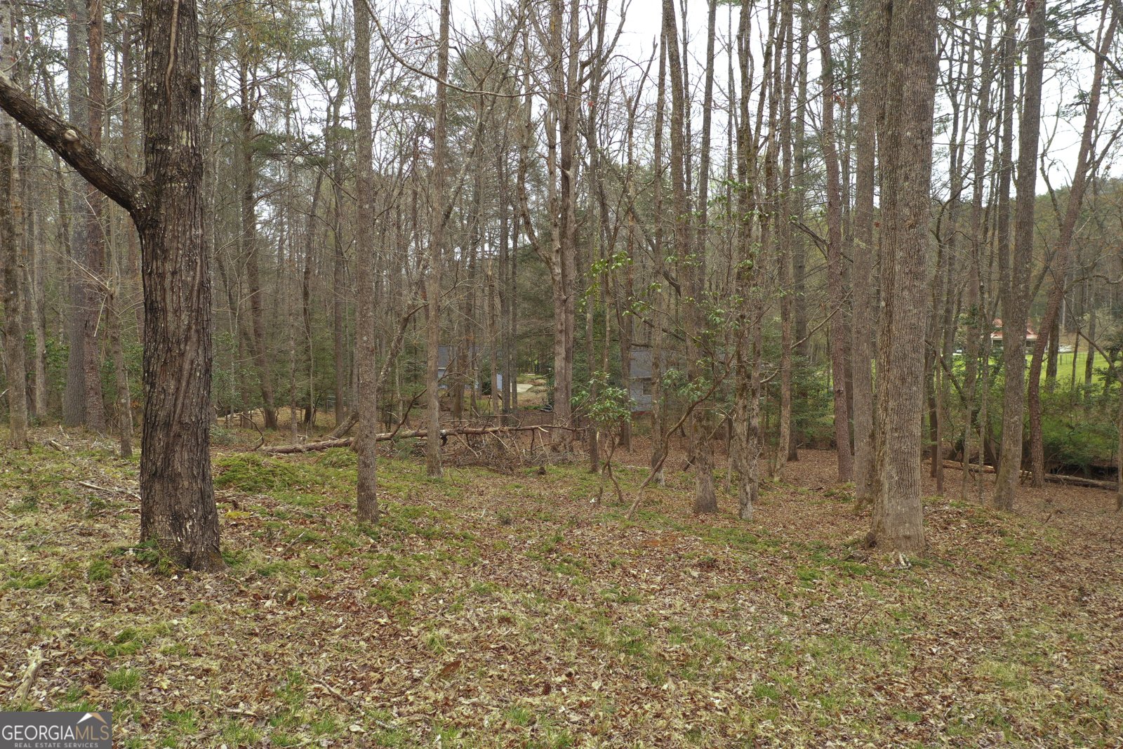 220 Evans Lane Lakemont - Photo 31