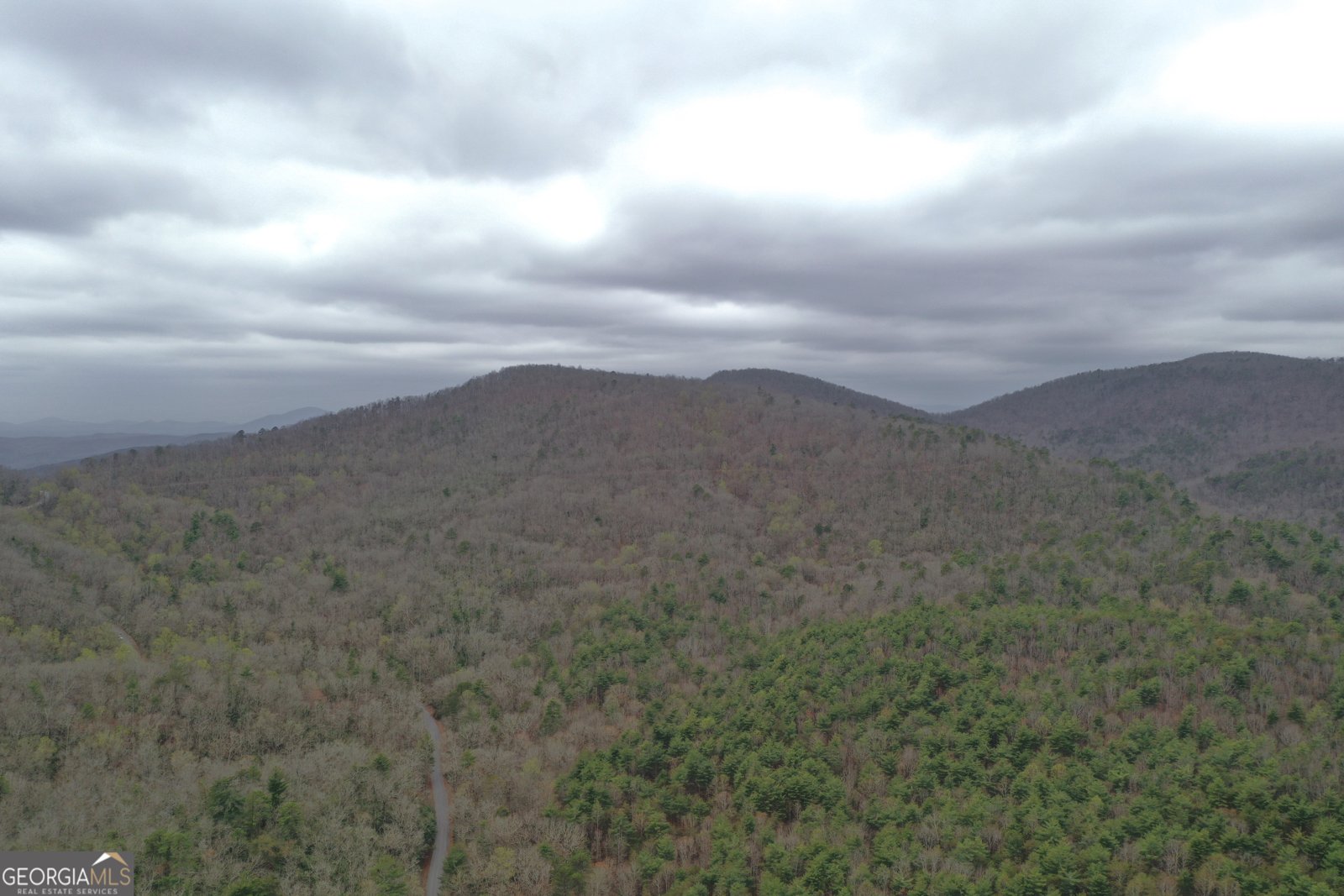 220 Evans Lane Lakemont - Photo 33