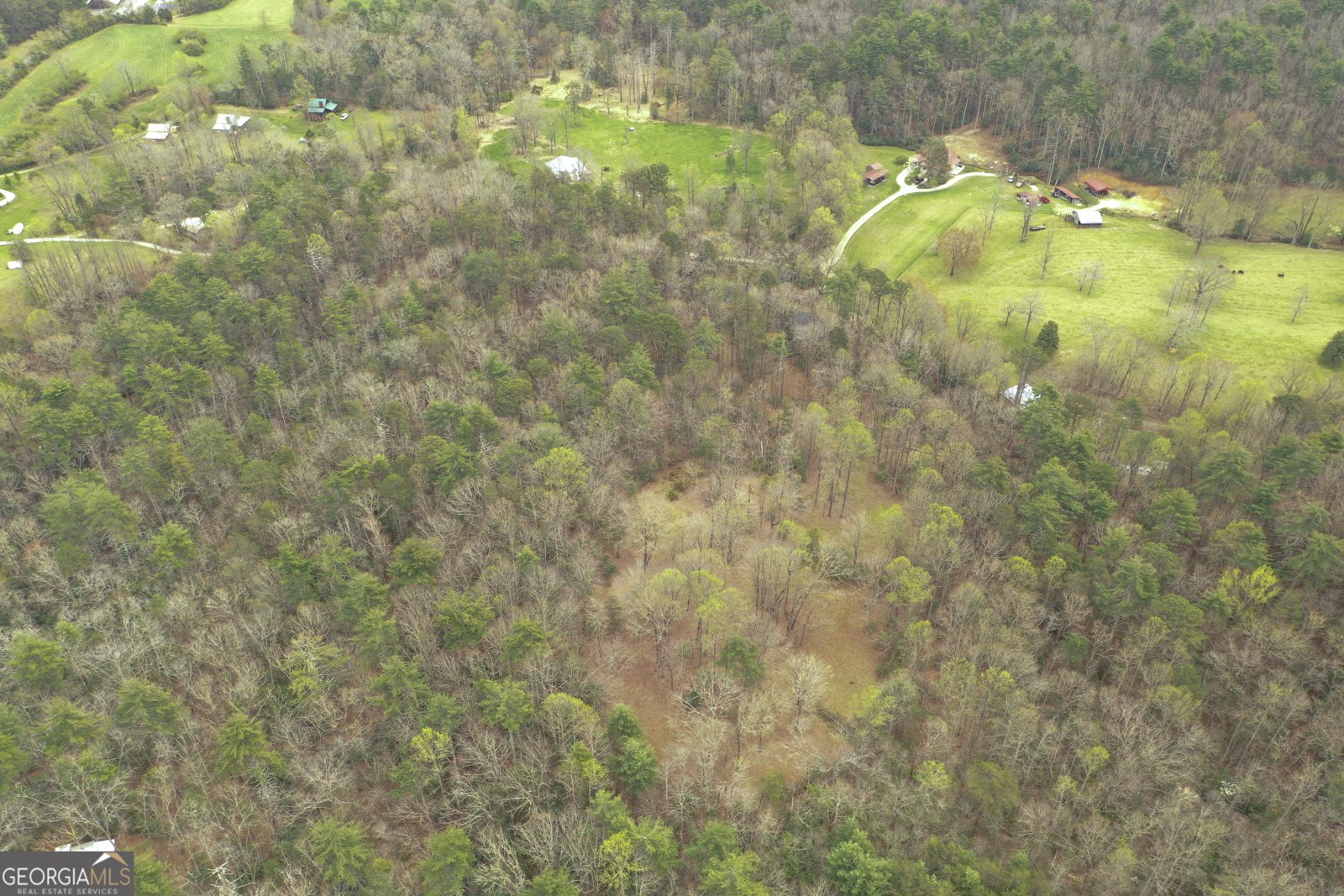 220 Evans Lane Lakemont - Photo 36