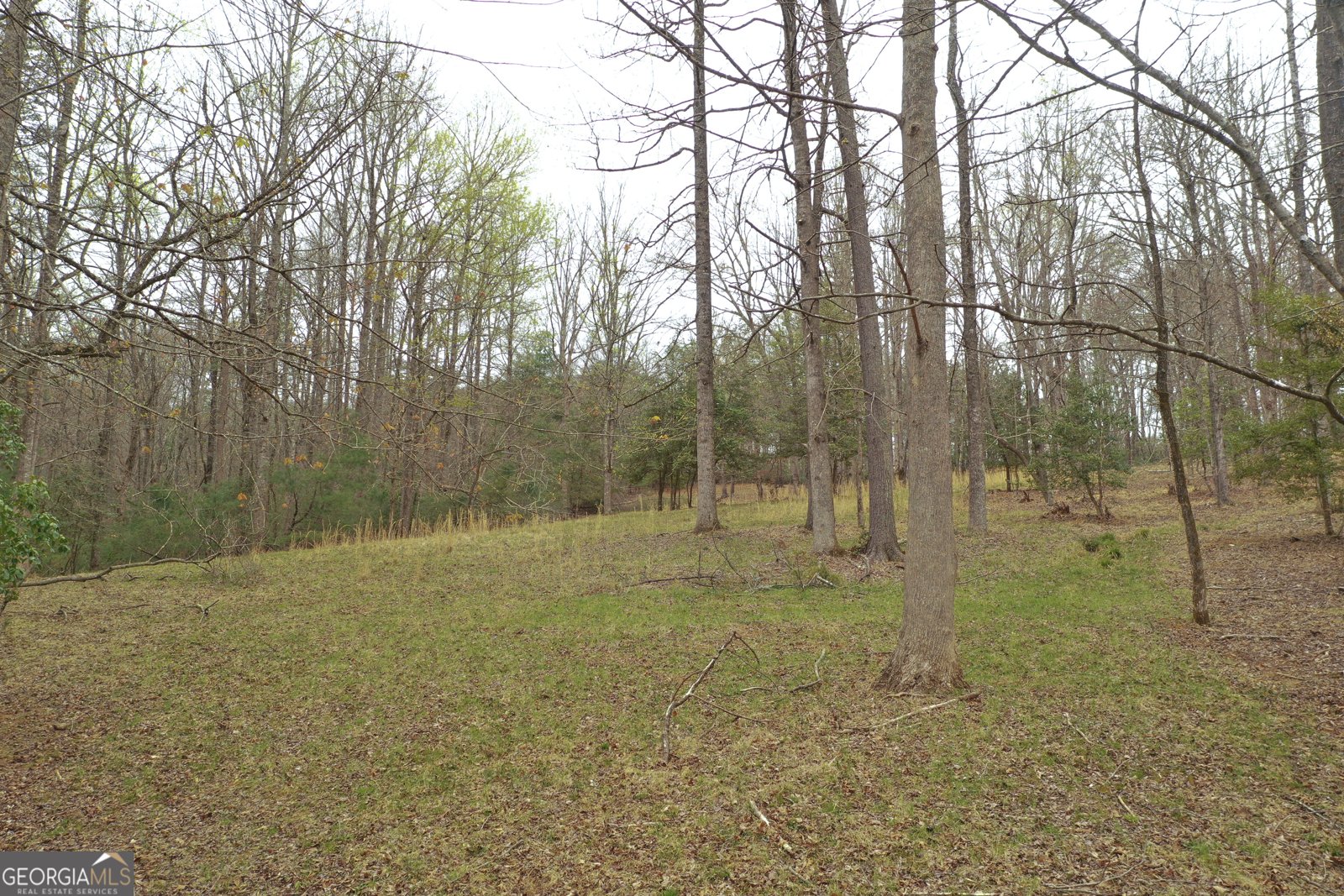 220 Evans Lane Lakemont - Photo 37