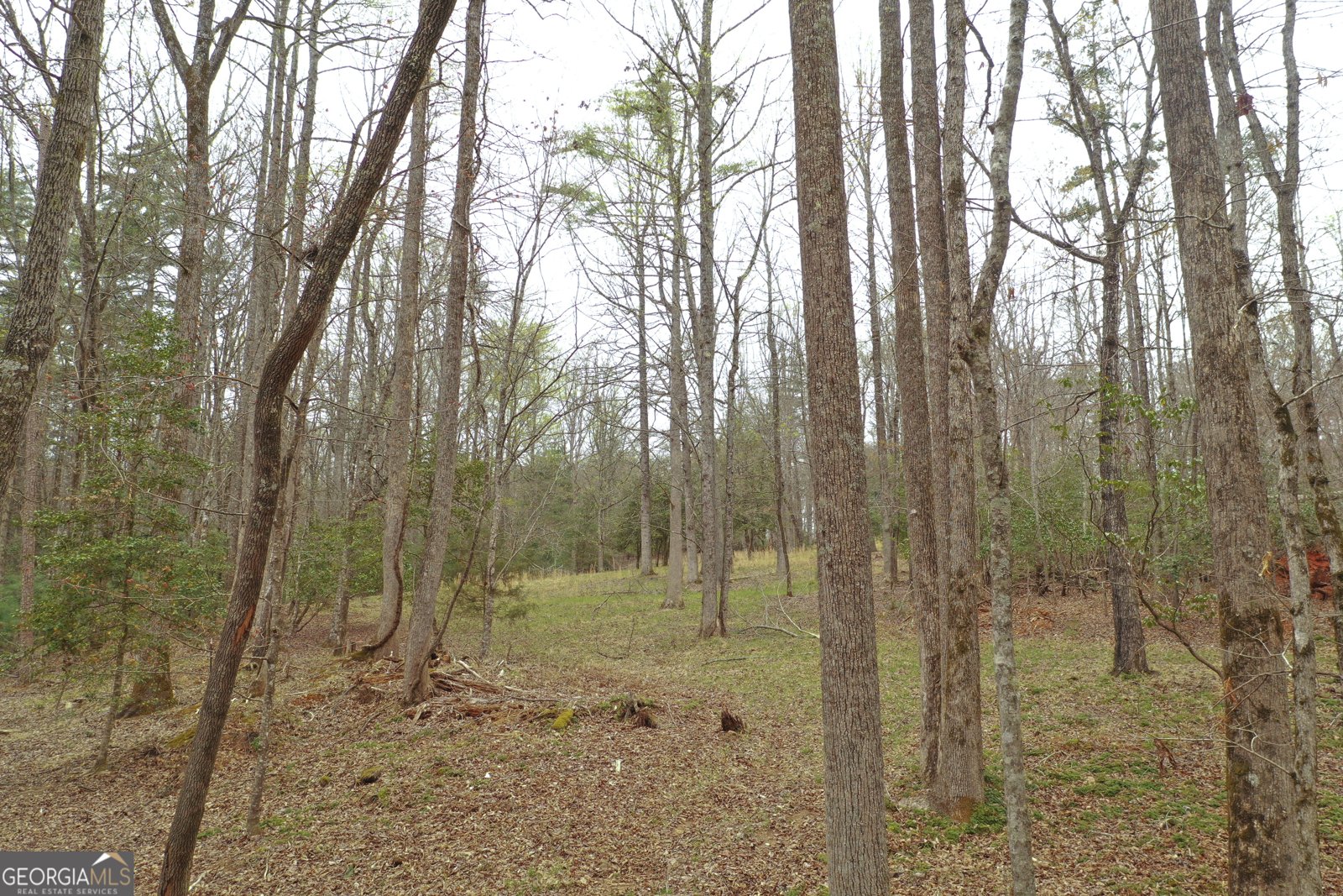 220 Evans Lane Lakemont - Photo 38