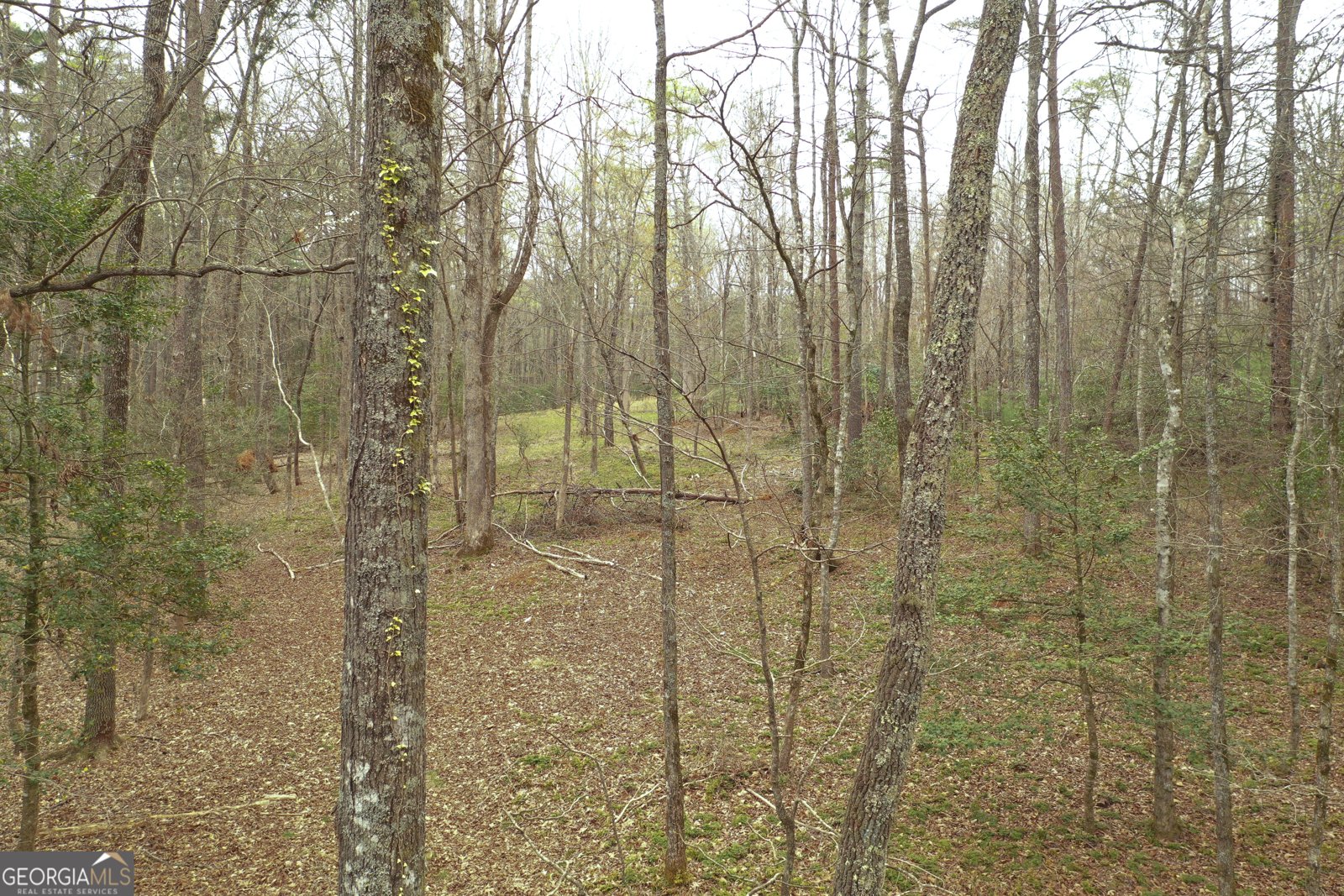 220 Evans Lane Lakemont - Photo 39