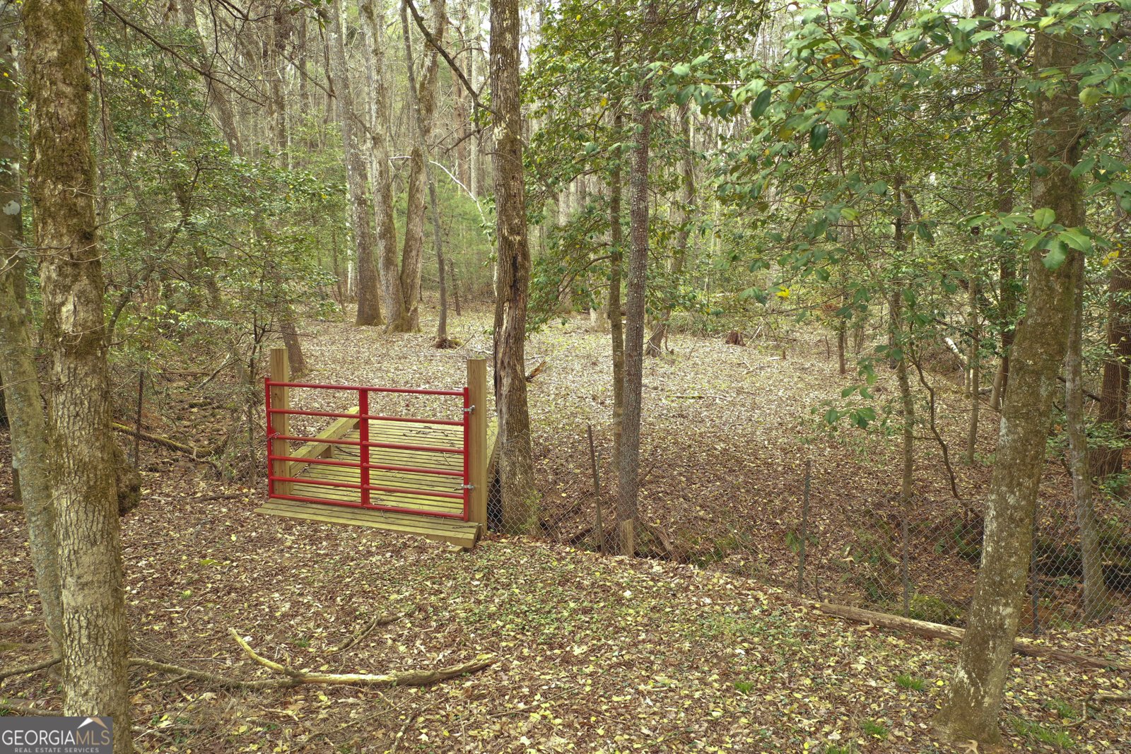 220 Evans Lane Lakemont - Photo 40