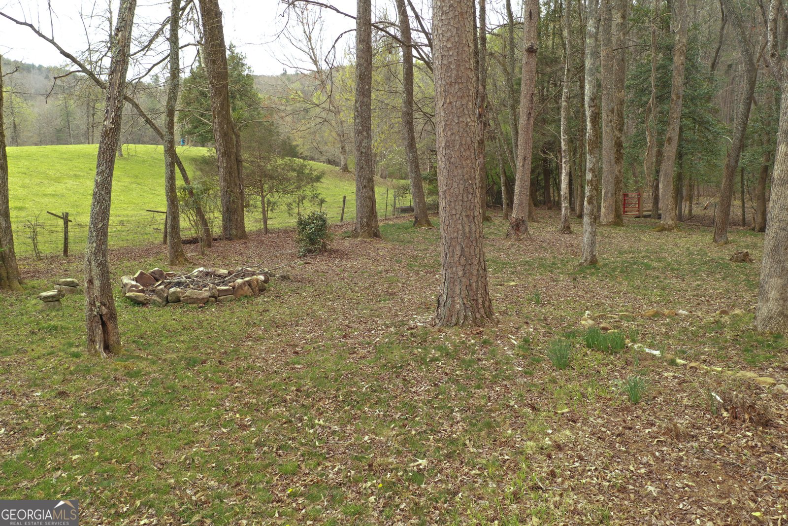 220 Evans Lane Lakemont - Photo 41