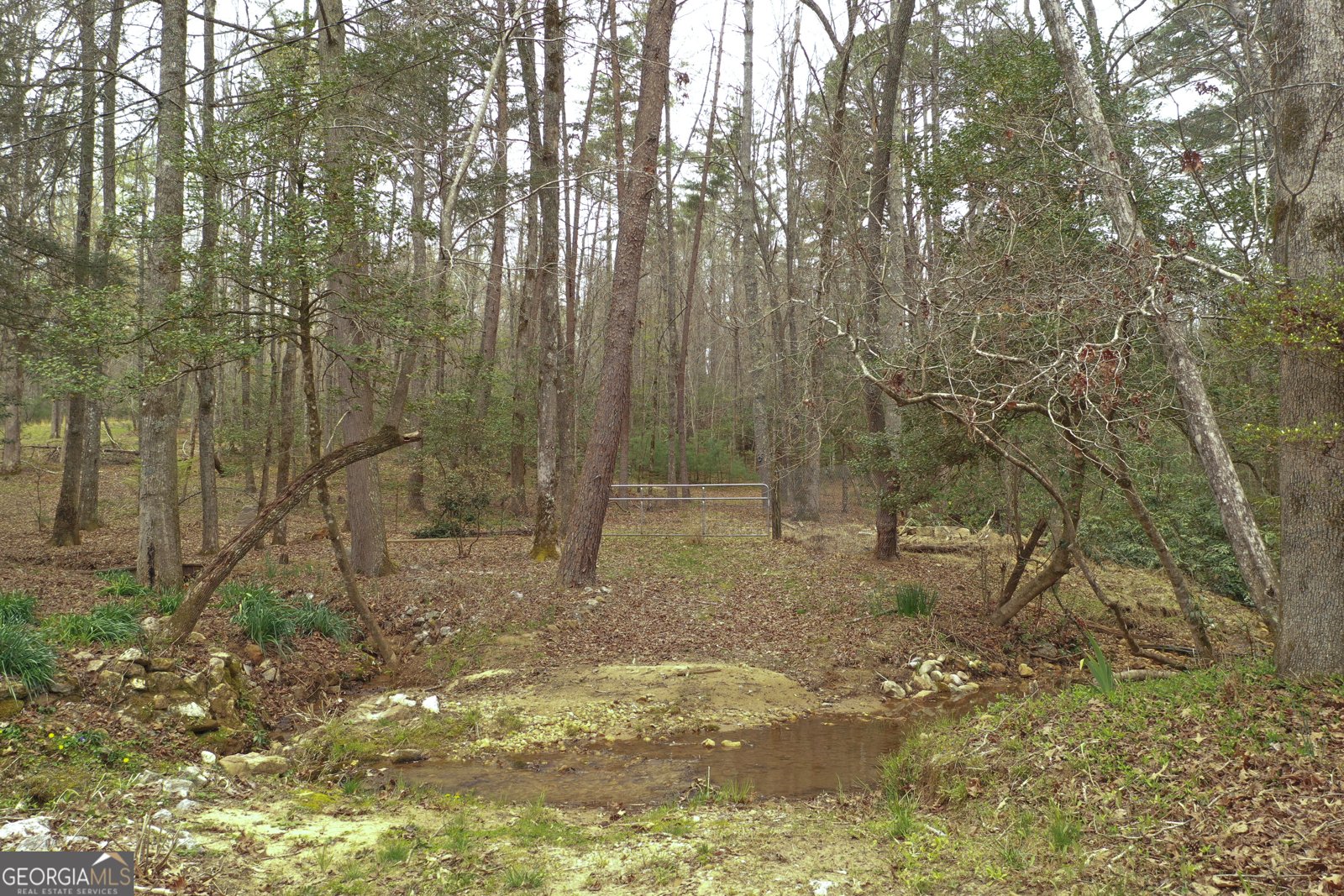 220 Evans Lane Lakemont - Photo 45