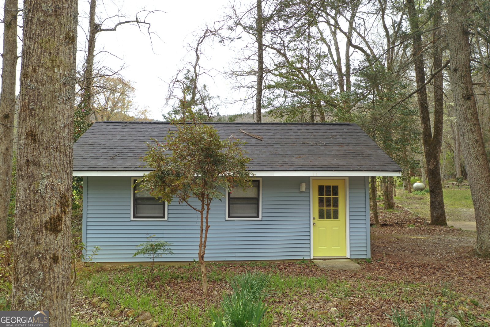 220 Evans Lane Lakemont - Photo 48