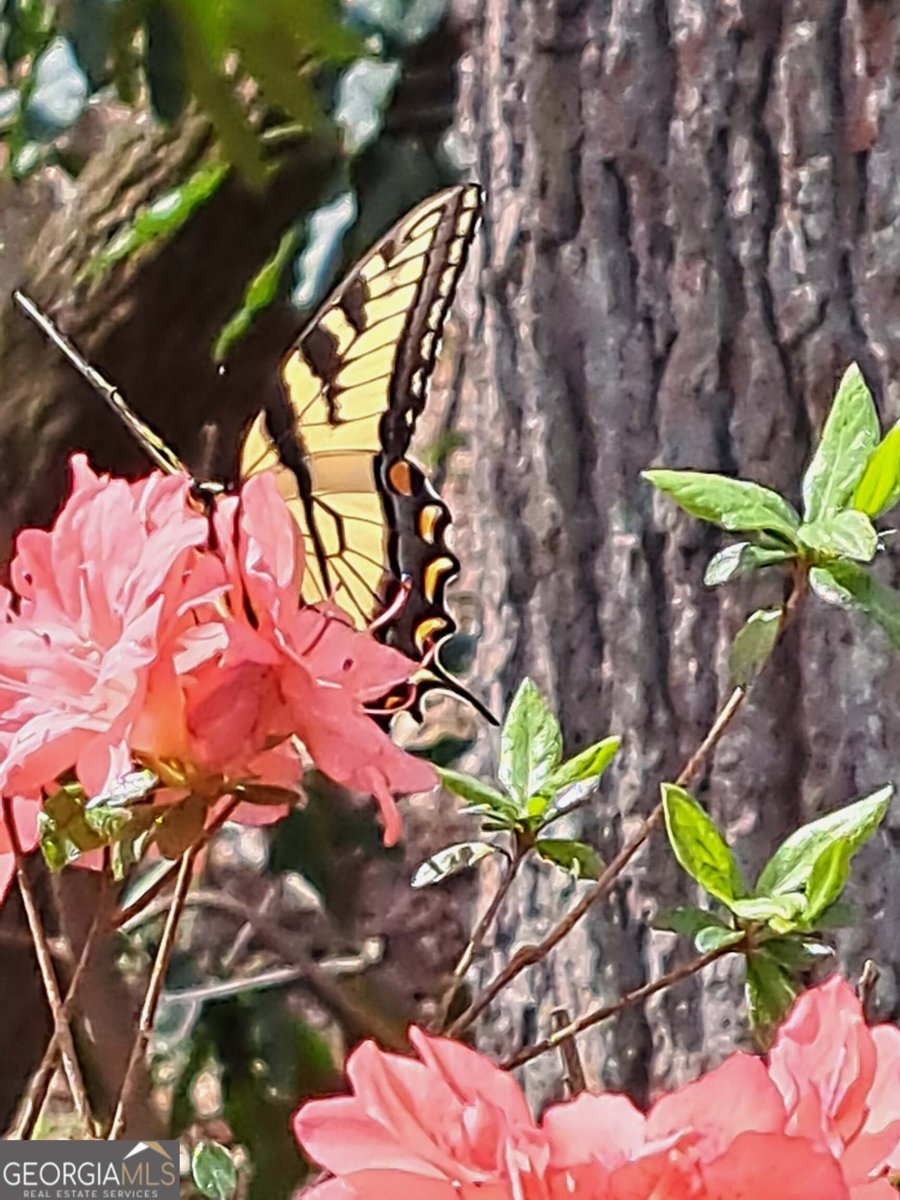 220 Evans Lane Lakemont - Photo 61