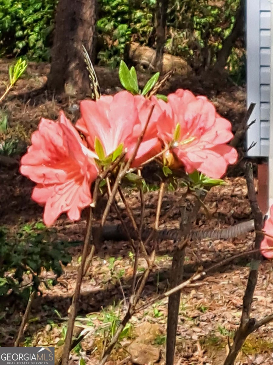 220 Evans Lane Lakemont - Photo 62