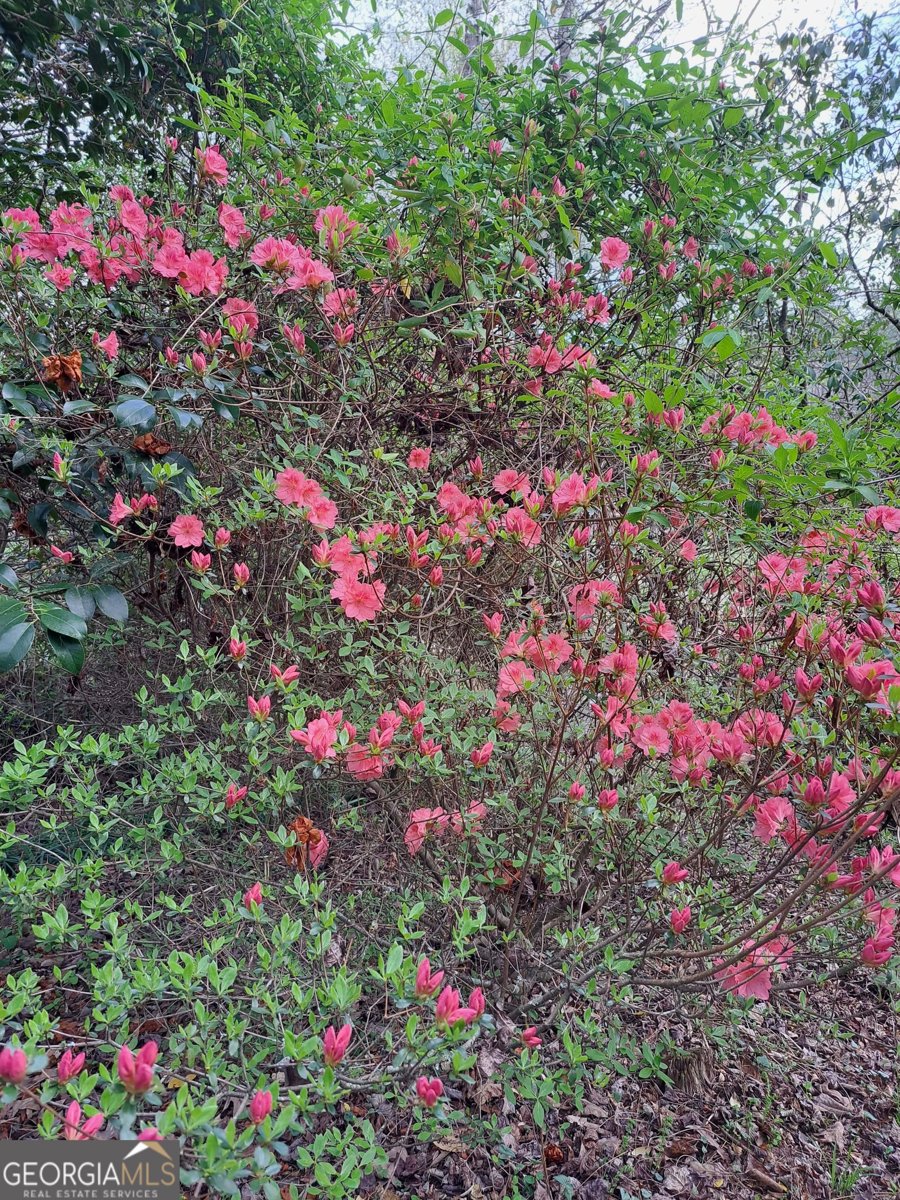 220 Evans Lane Lakemont - Photo 64