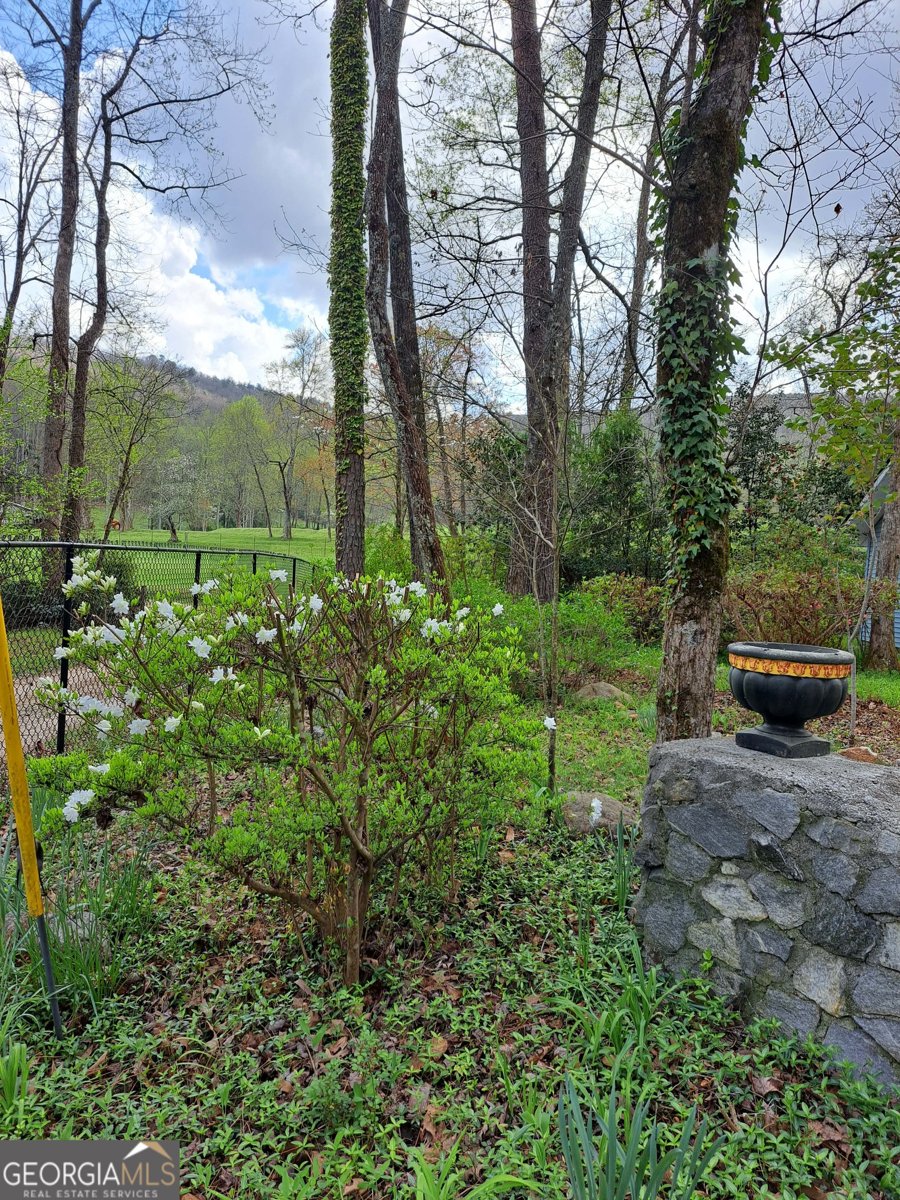 220 Evans Lane Lakemont - Photo 66