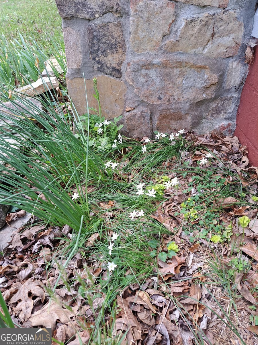 220 Evans Lane Lakemont - Photo 67