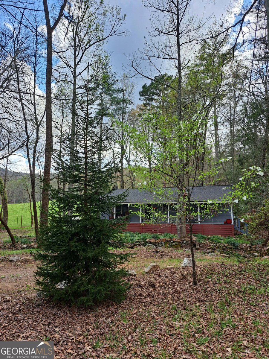 220 Evans Lane Lakemont - Photo 68