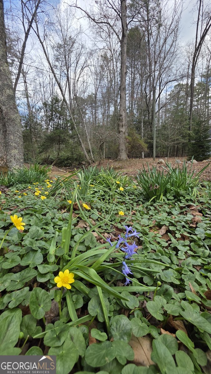 220 Evans Lane Lakemont - Photo 69