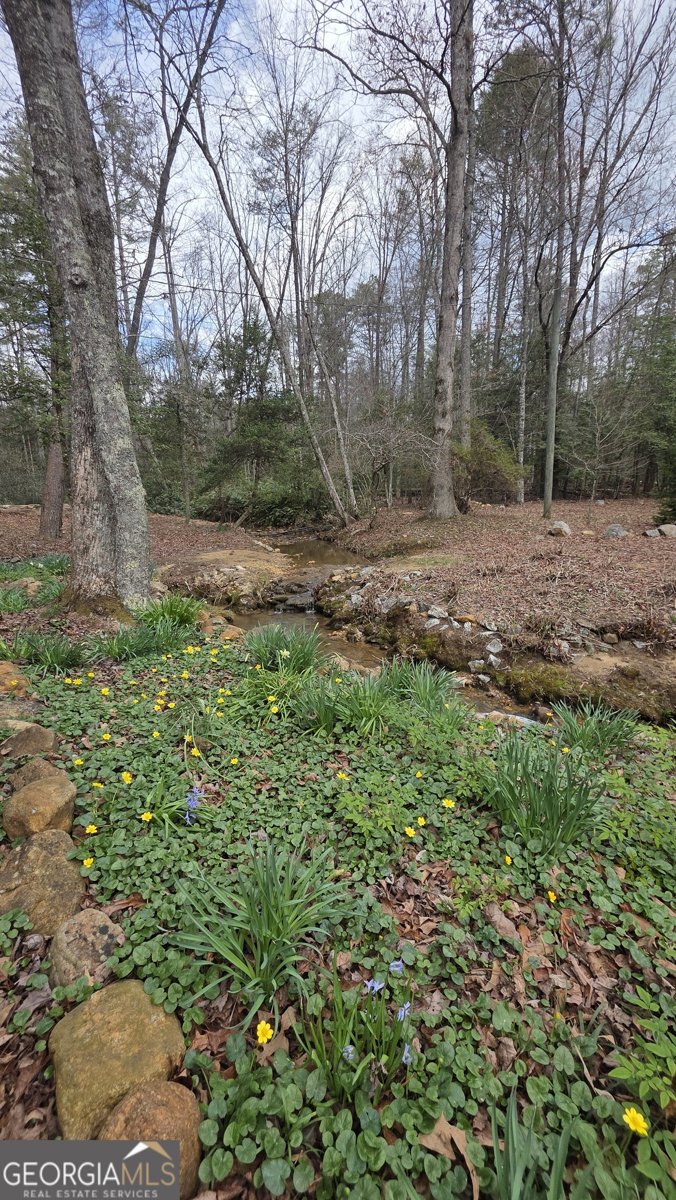 220 Evans Lane Lakemont - Photo 70