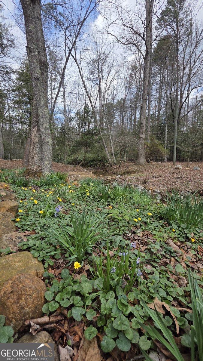 220 Evans Lane Lakemont - Photo 71