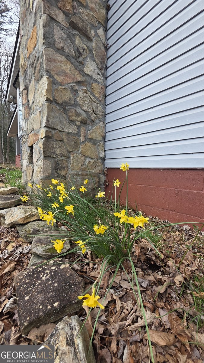 220 Evans Lane Lakemont - Photo 72