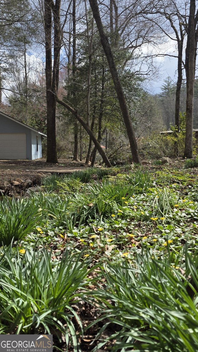 220 Evans Lane Lakemont - Photo 75