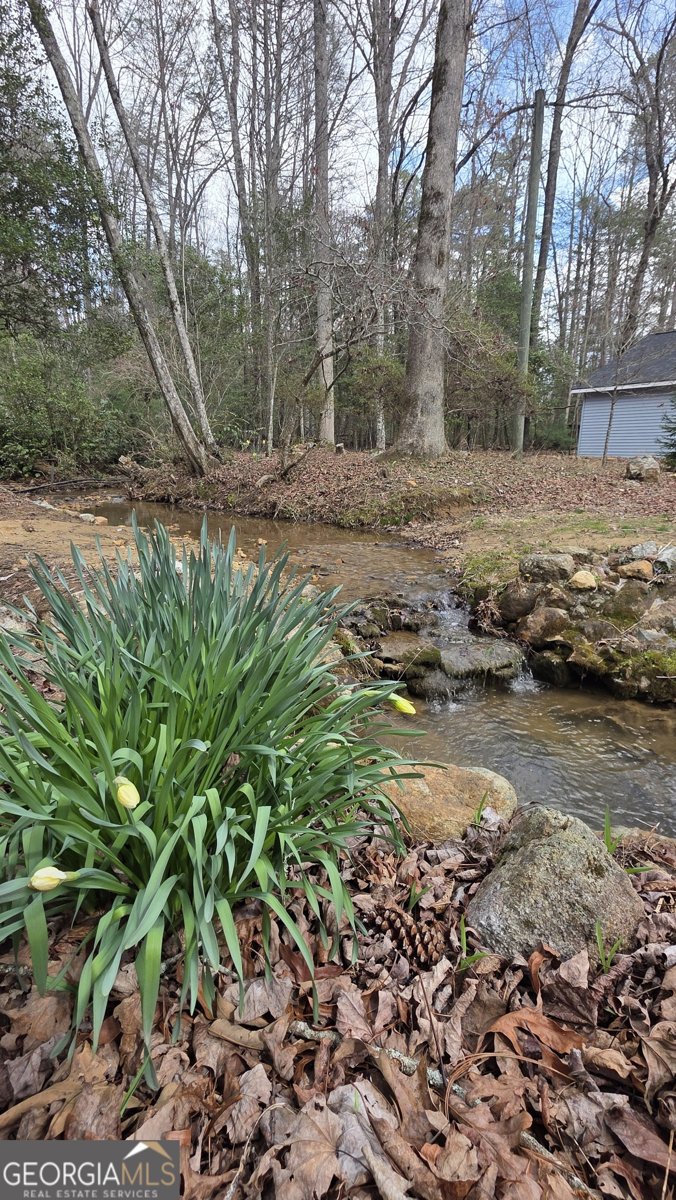 220 Evans Lane Lakemont - Photo 79