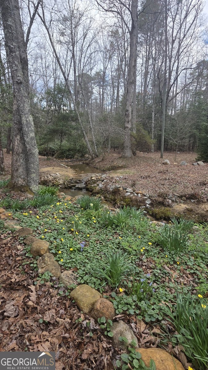 220 Evans Lane Lakemont - Photo 80