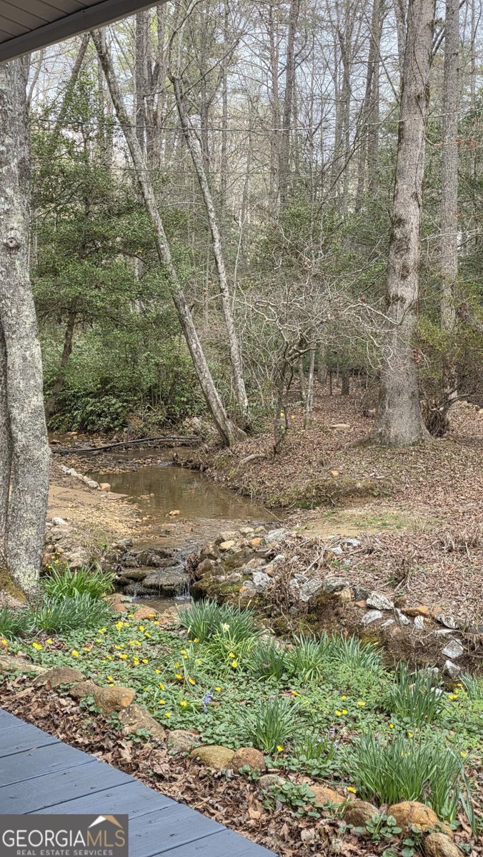 220 Evans Lane Lakemont - Photo 81