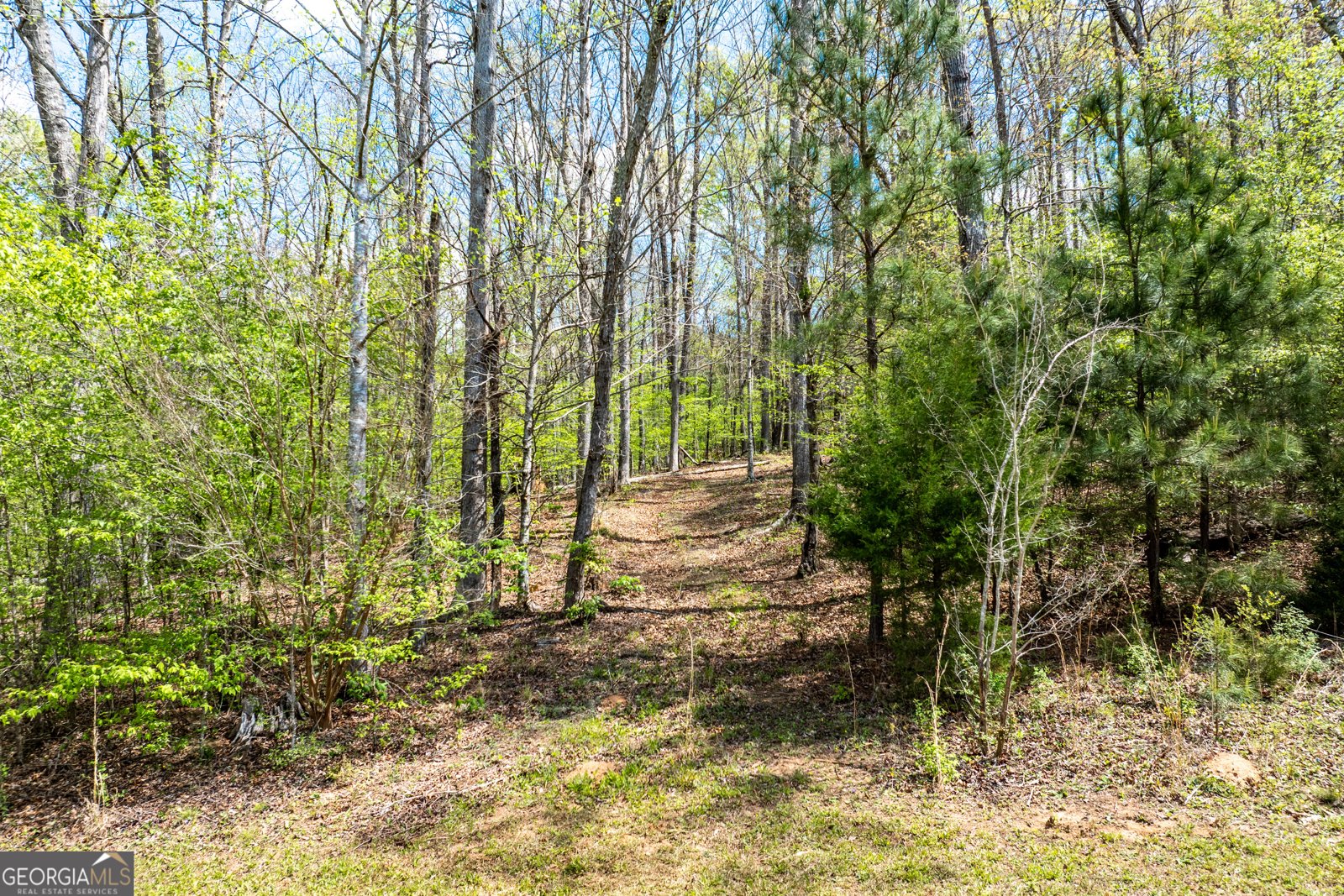 1580 Bob Godfrey Road Athens - Photo 56