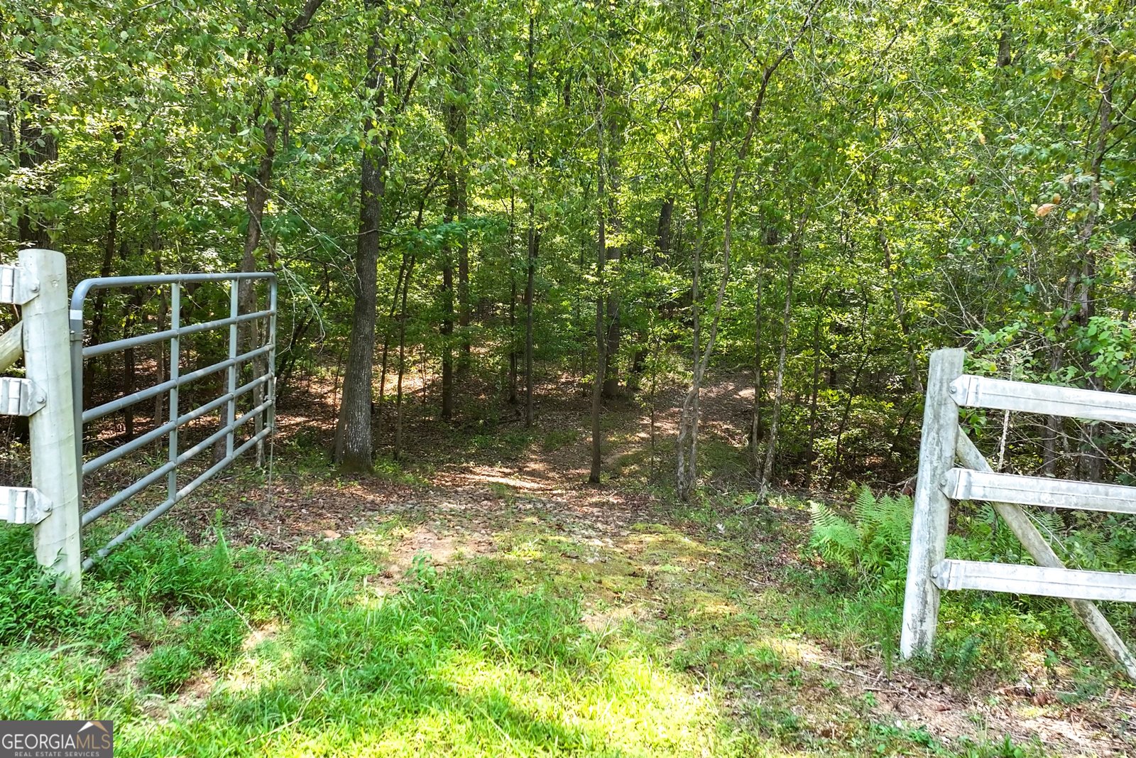 1580 Bob Godfrey Road Athens - Photo 57