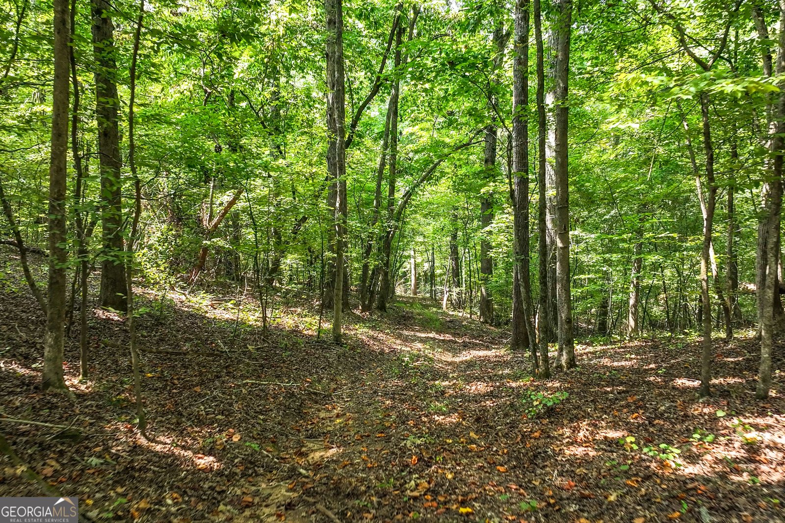 1580 Bob Godfrey Road Athens - Photo 58