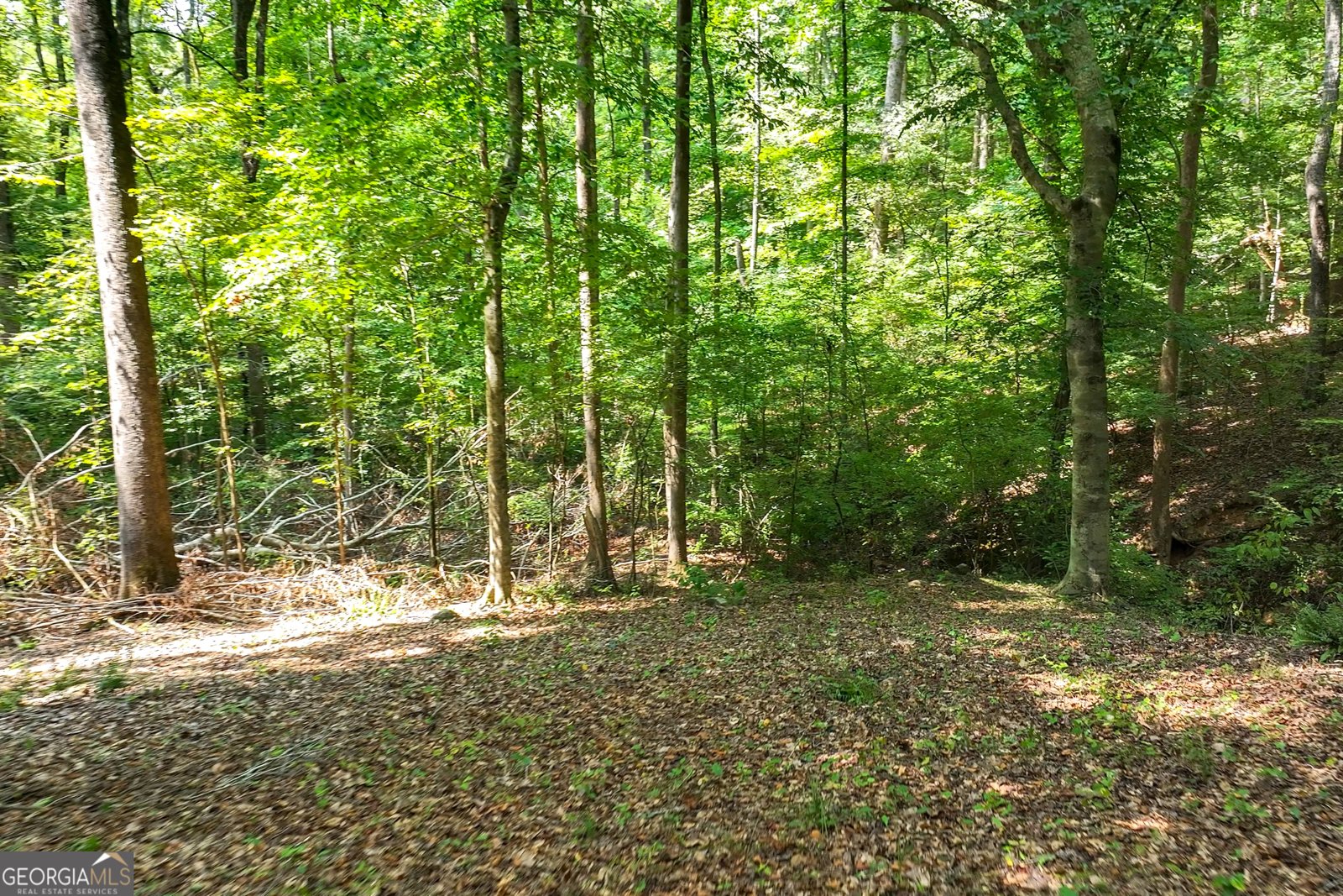 1580 Bob Godfrey Road Athens - Photo 59