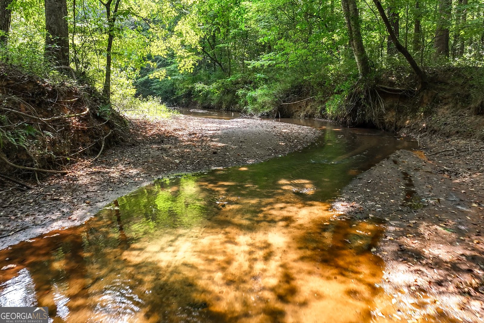 1580 Bob Godfrey Road Athens - Photo 61