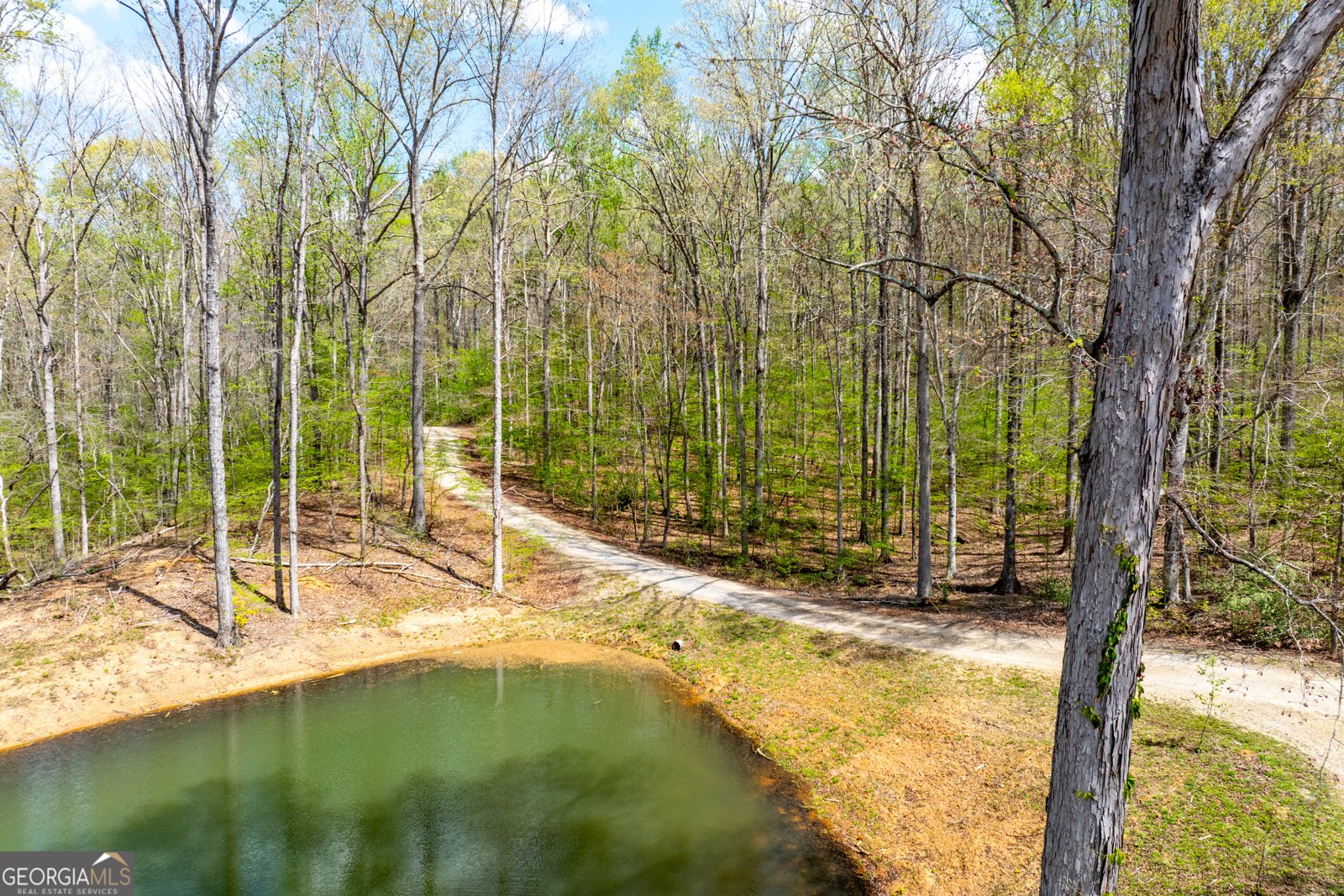 1580 Bob Godfrey Road Athens - Photo 64