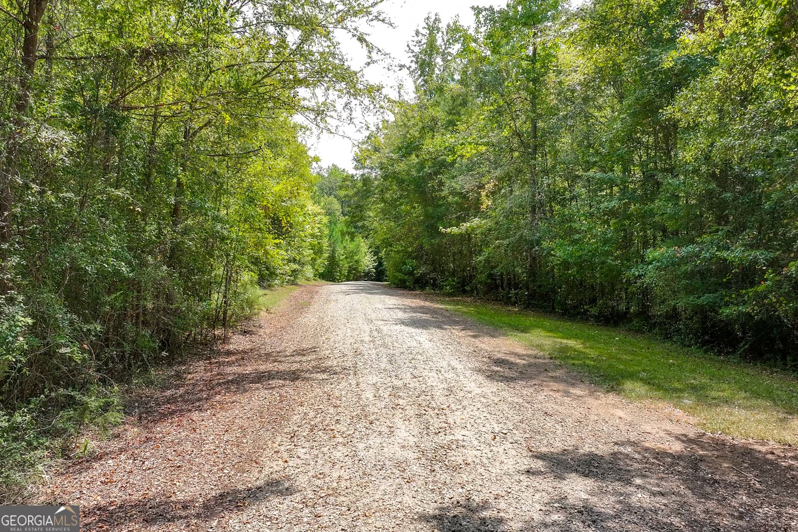 1580 Bob Godfrey Road Athens - Photo 66