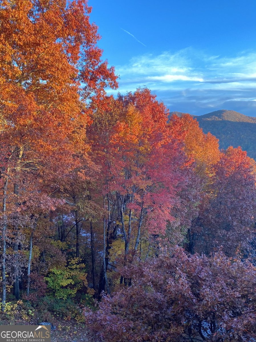 226 Moon Ridge Drive Dillard - Photo 100