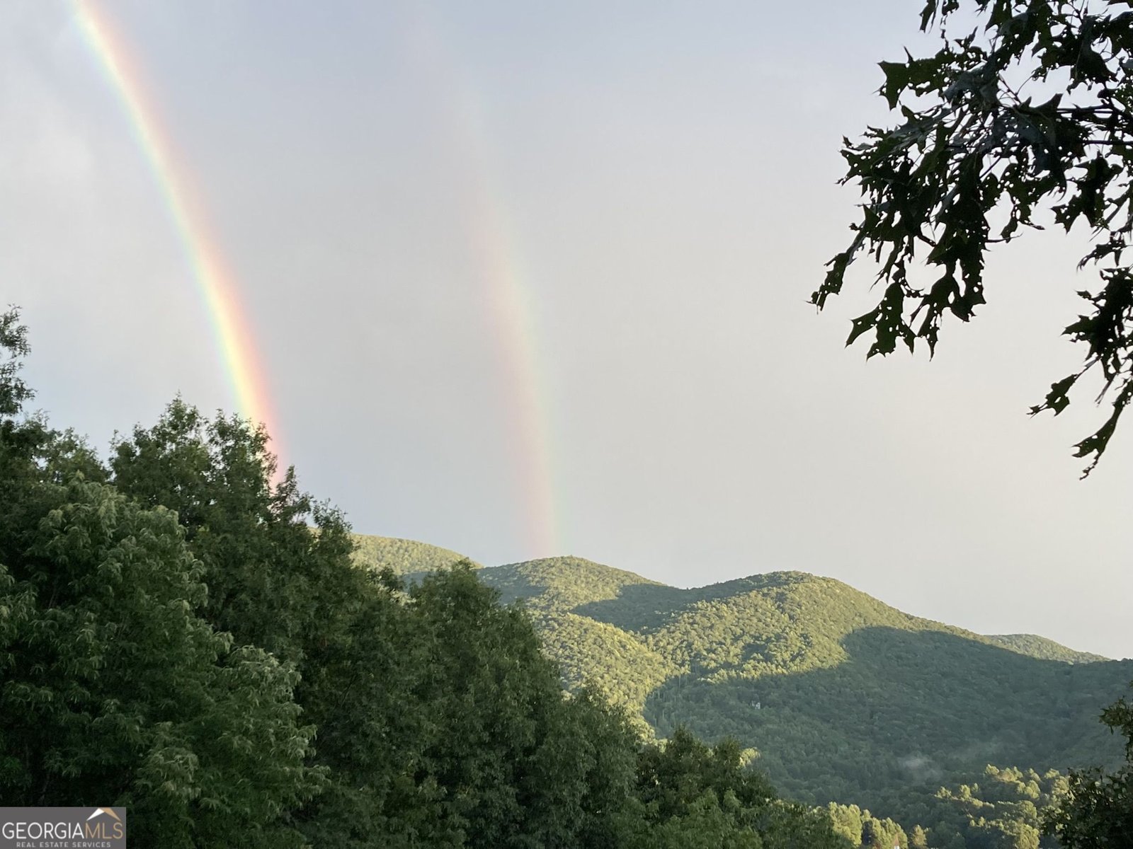 226 Moon Ridge Drive Dillard - Photo 101