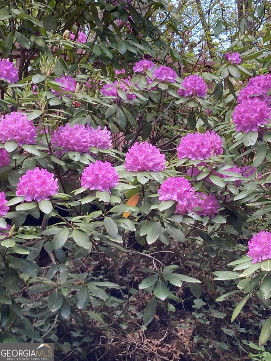 226 Moon Ridge Drive Dillard - Photo 102