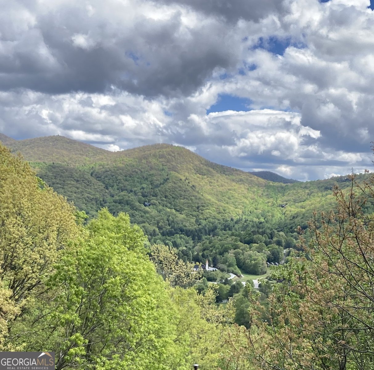 226 Moon Ridge Drive Dillard - Photo 103