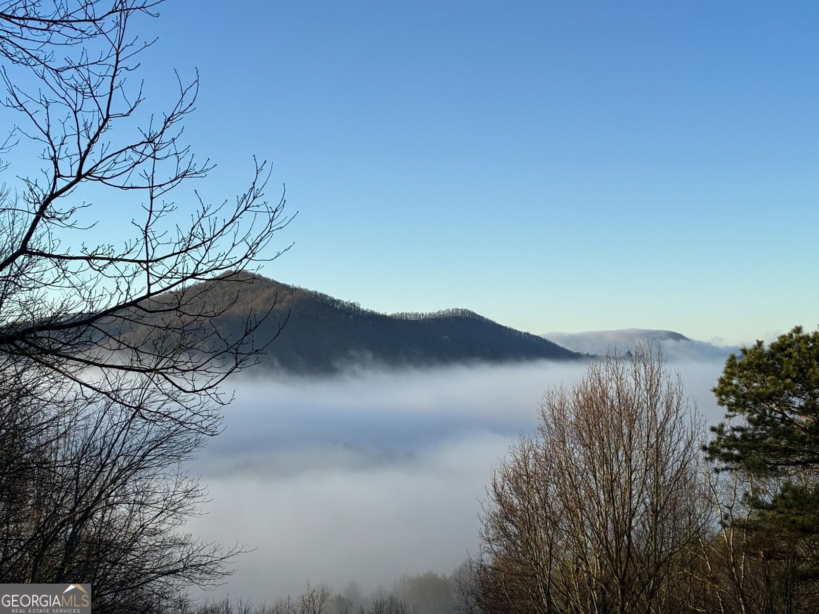 226 Moon Ridge Drive Dillard - Photo 104