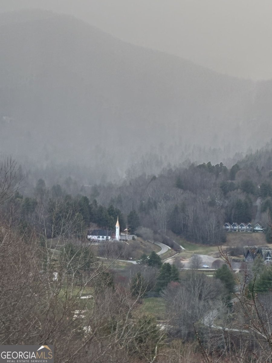 226 Moon Ridge Drive Dillard - Photo 105