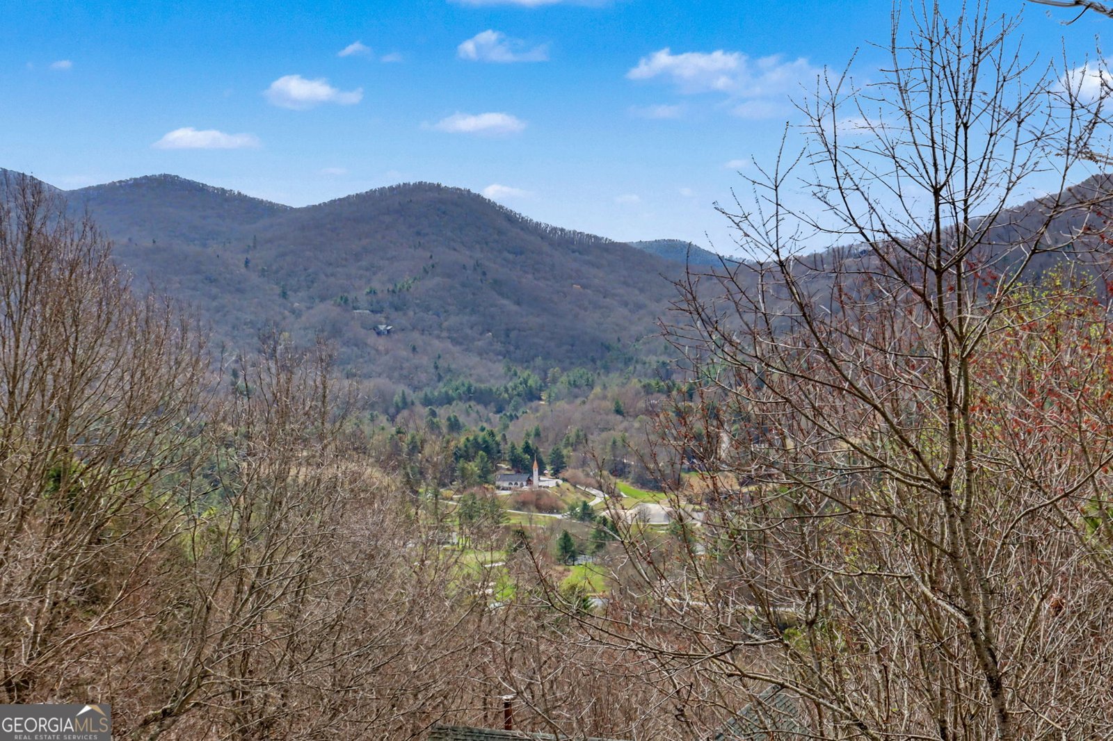 226 Moon Ridge Drive Dillard - Photo 21