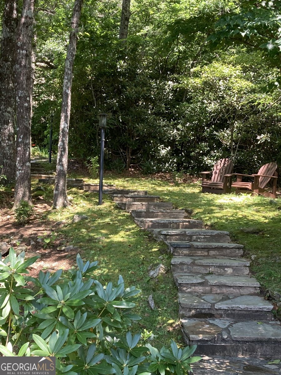 226 Moon Ridge Drive Dillard - Photo 84