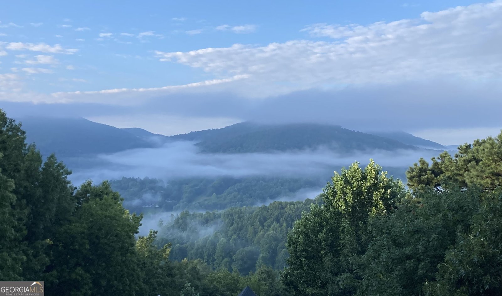 226 Moon Ridge Drive Dillard - Photo 88