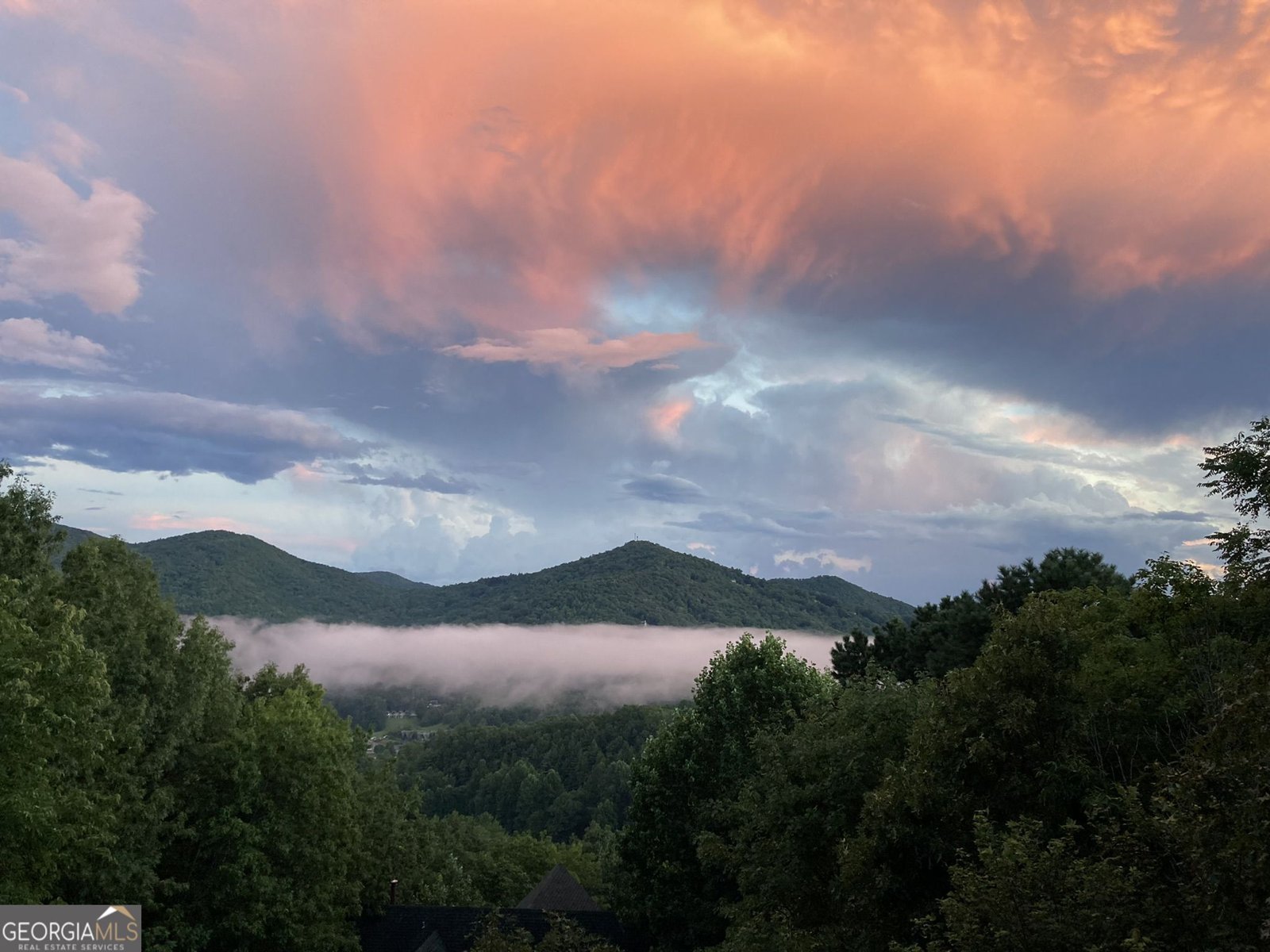 226 Moon Ridge Drive Dillard - Photo 89