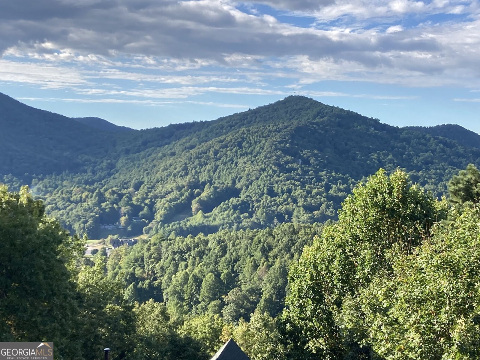 226 Moon Ridge Drive Dillard - Photo 90