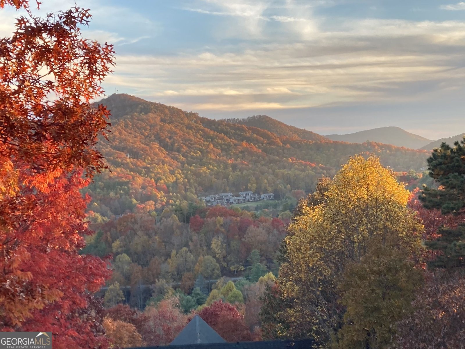 226 Moon Ridge Drive Dillard - Photo 91