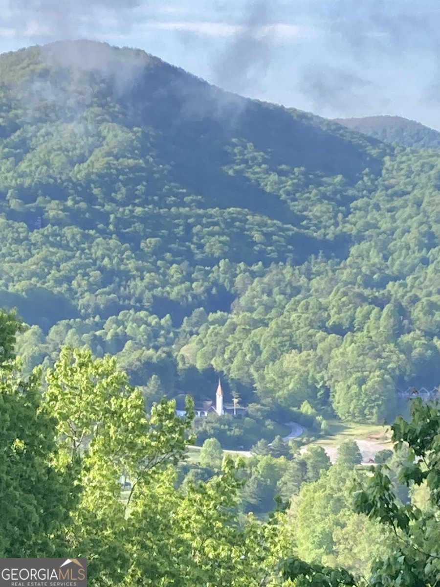 226 Moon Ridge Drive Dillard - Photo 96