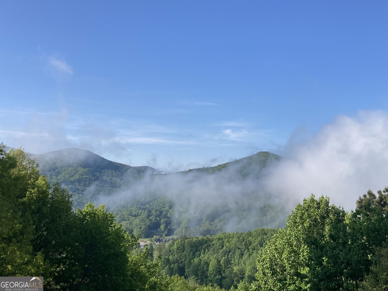 226 Moon Ridge Drive Dillard - Photo 97