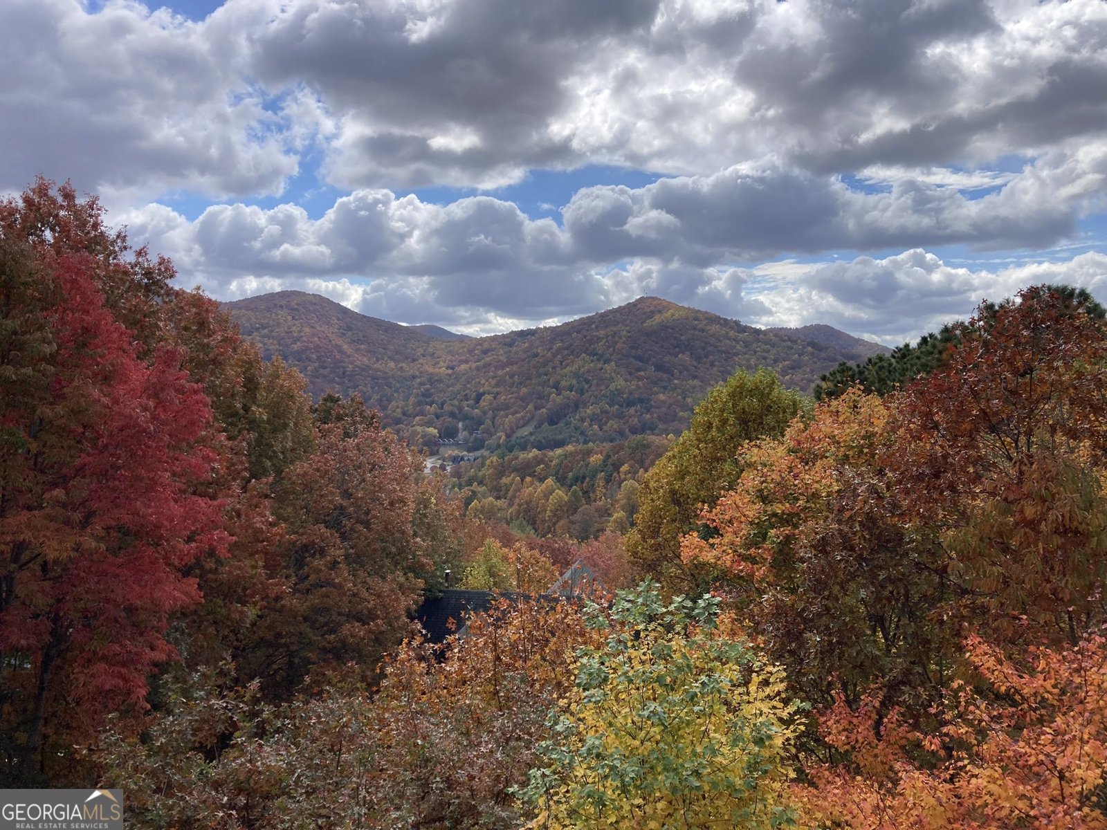 226 Moon Ridge Drive Dillard - Photo 98