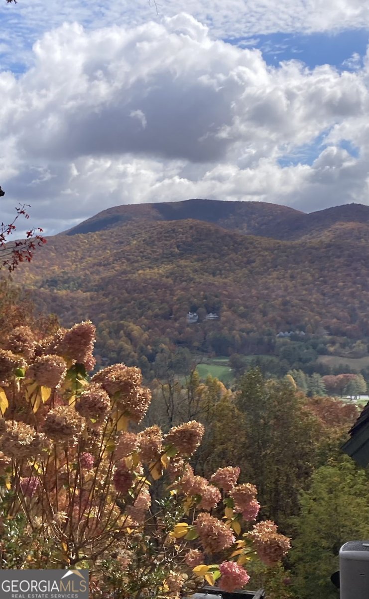 226 Moon Ridge Drive Dillard - Photo 99