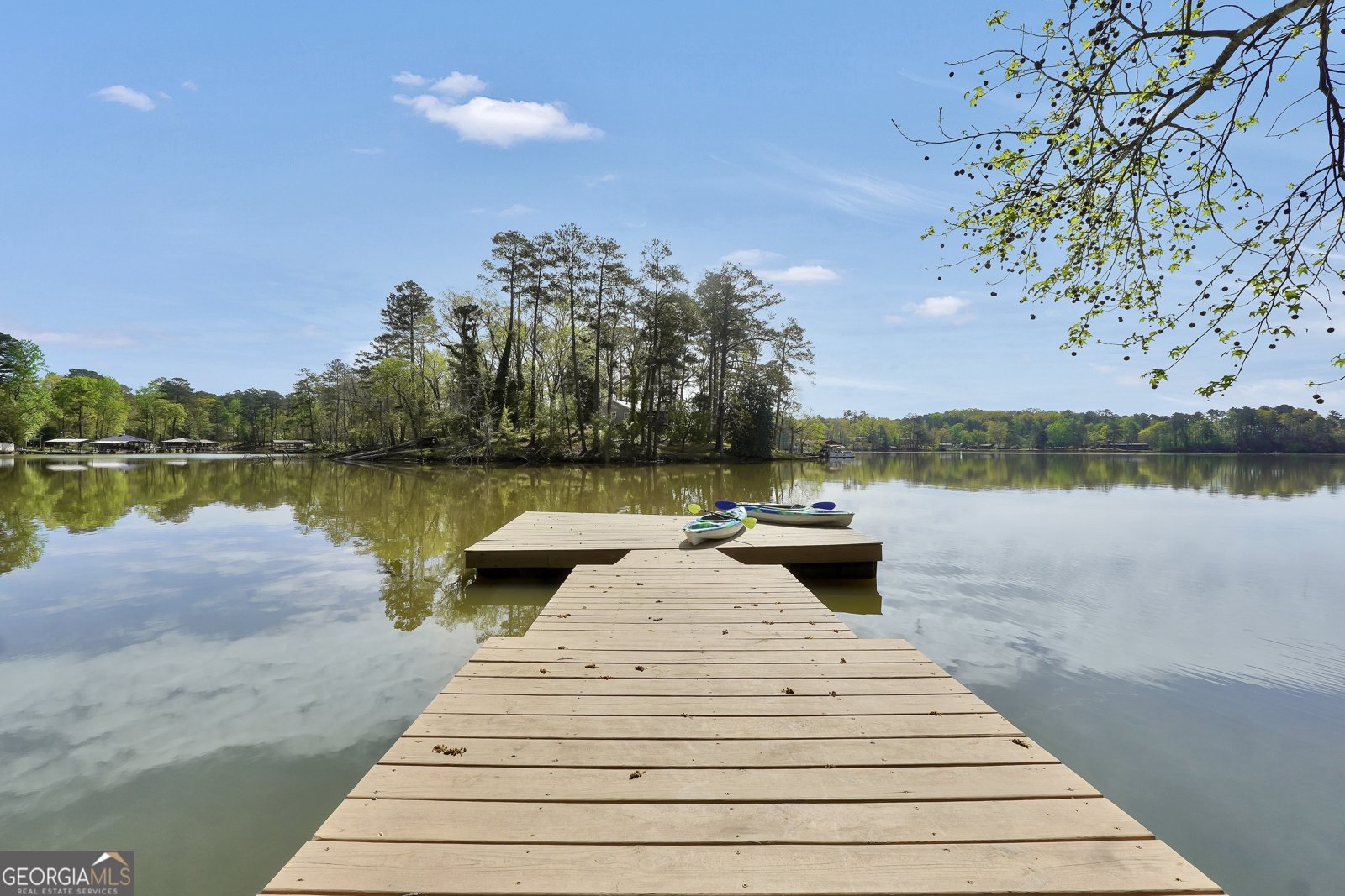 451 Mayo Road Covington - Photo 67